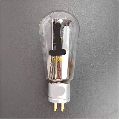 1/2/4PCS E-300B أنبوب فراغ (4pcs) in Saudi Arabia