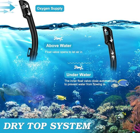 Snorkeling Gear for Adults, Dry Top Snorkel Mask Set 2 Pack Scuba Diving Mask Snorkel Gear Anti Fog Snorkeling Packages Tempered Glass Panoramic View Nose Cover in Saudi Arabia