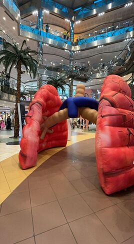 Giant Inflatable Lung Medical Exhibits Advertising Large Inflatable Human Organs Model Replica for School Teaching/Display Activity Decoration (Lung 3) in Kuwait