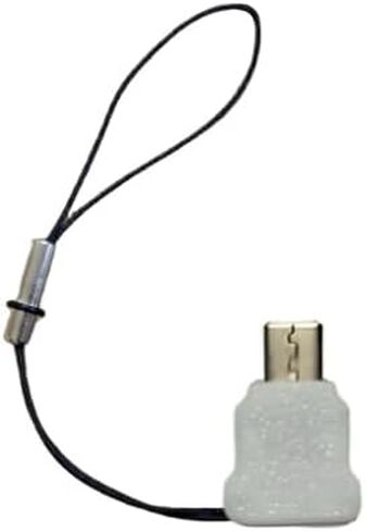 Game Console Charging Adapter, Type-C Interface for 3ds & NDSi & 2ds, with Anti-Loss Hanging Rope in Kuwait