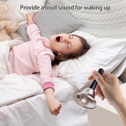 24 Pcs Hand Bells Steel Service Handbells Black Wooden Handle Diatonic Metal Bells Musical Percussion for School Church Wedding Dinner Calling Decor (Silver) in Kuwait