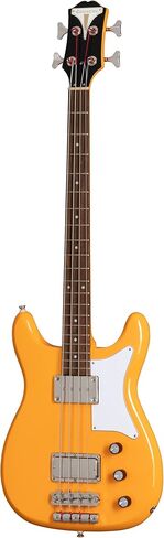 Epiphone Newport Bass 30.5 in Scale, Pacific Blue in Saudi Arabia
