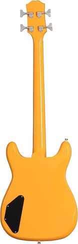 Epiphone Newport Bass 30.5 in Scale, Pacific Blue in Saudi Arabia
