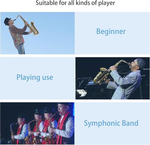 10pcs alto saxophone القصب ، المحترف Alto Sax Reeds 2-1/2 REED Strength 2.5 Tip Tip Tip Tip for Clarinet Player ، Alto Sax in Saudi Arabia