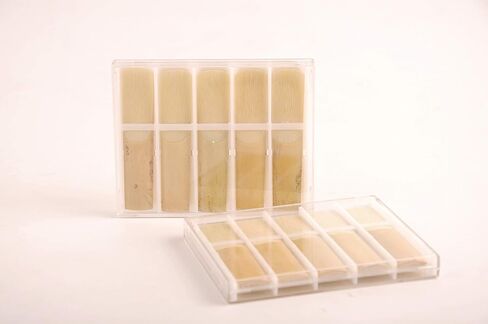 ALTO EB SAX Saxophone Reeds Strength 1.5 2.0 2.5 3.0 (Stength 2.0) من 10 in Saudi Arabia