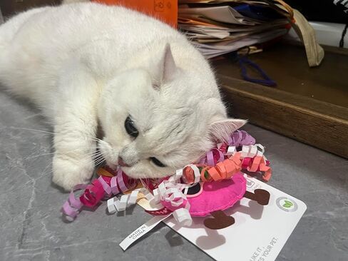 Rohome Catnip Toys for Cat ، لعبة تنظيف الأسنان المضغ ، ألعاب أفخم تفاعلية للتشويش واللعب لعبة Cat-Haired ذات الشعر المجعد (أحمر) in Kuwait