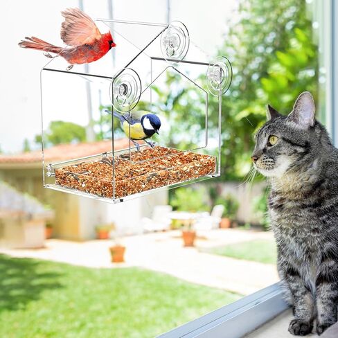 Window Bird Feeder, Clear Birdfeeder for Window Larger Viewing, Squirrel-Proof Bird Watching with Strong Suction Cup and Self-Adhesive, Large Food Storage Design in Saudi Arabia
