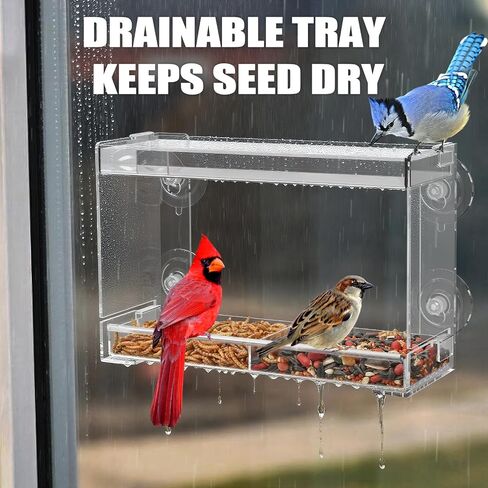 Window Bird Feeder, Clear Birdfeeder for Window Larger Viewing, Squirrel-Proof Bird Watching with Strong Suction Cup and Self-Adhesive, Large Food Storage Design in Saudi Arabia