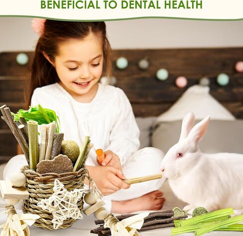 Toy for Rabbits, Bunny Toys for Rabbits Guinea Pig Chew Toy, Bunny Toys, Hamster Treats, Timothy Stick, Apple Sticks, Sweet Bamboo, for Guinea Pig, Hamster, Chinchilla, Rat, Small Animals in Saudi Arabia