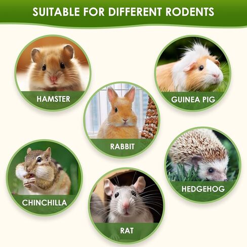 Toy for Rabbits, Bunny Toys for Rabbits Guinea Pig Chew Toy, Bunny Toys, Hamster Treats, Timothy Stick, Apple Sticks, Sweet Bamboo, for Guinea Pig, Hamster, Chinchilla, Rat, Small Animals in Saudi Arabia