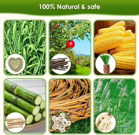 Toy for Rabbits, Bunny Toys for Rabbits Guinea Pig Chew Toy, Bunny Toys, Hamster Treats, Timothy Stick, Apple Sticks, Sweet Bamboo, for Guinea Pig, Hamster, Chinchilla, Rat, Small Animals in Saudi Arabia