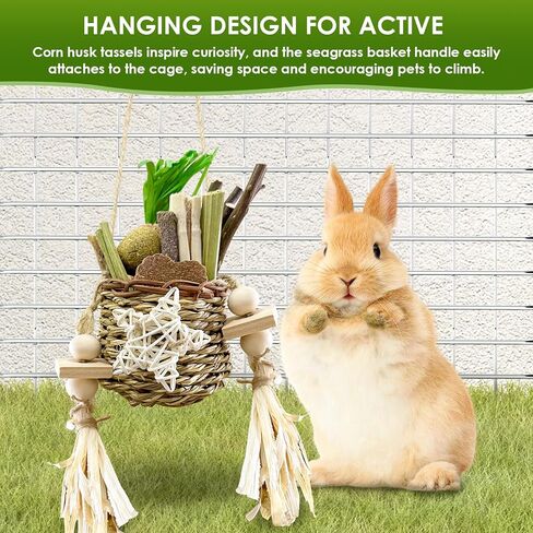Toy for Rabbits, Bunny Toys for Rabbits Guinea Pig Chew Toy, Bunny Toys, Hamster Treats, Timothy Stick, Apple Sticks, Sweet Bamboo, for Guinea Pig, Hamster, Chinchilla, Rat, Small Animals in Saudi Arabia