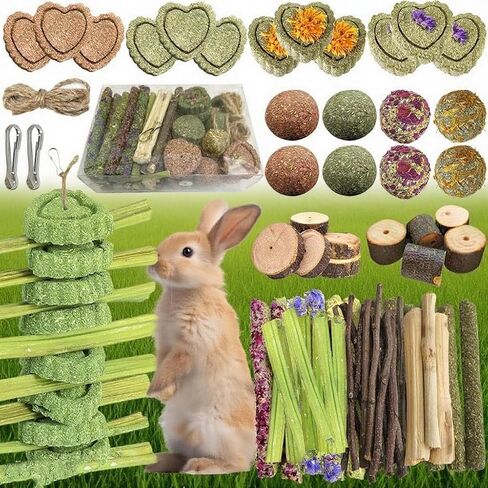 Toy for Rabbits, Bunny Toys for Rabbits Guinea Pig Chew Toy, Bunny Toys, Hamster Treats, Timothy Stick, Apple Sticks, Sweet Bamboo, for Guinea Pig, Hamster, Chinchilla, Rat, Small Animals in Saudi Arabia