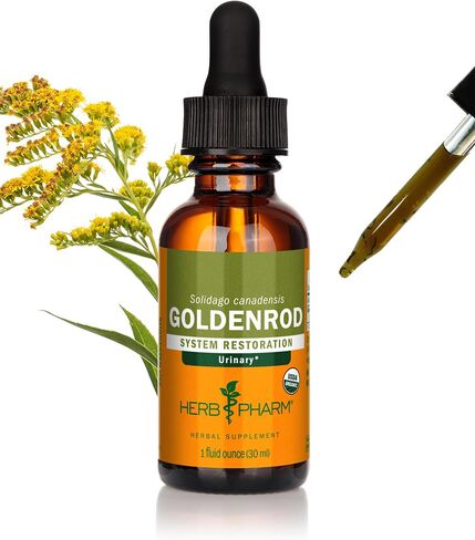 Herb Pharm Certified Organic Goldenrod Liquid Extract for Urinary System Support, 1 Fl Oz (Pack of 1) in Saudi Arabia