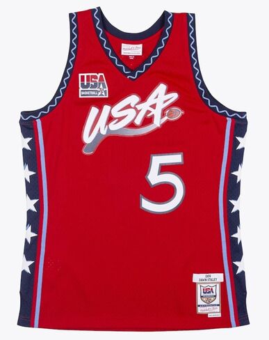 Dawn Staley Red USA Basketball 1996 Mens Swingman Jersey in Kuwait