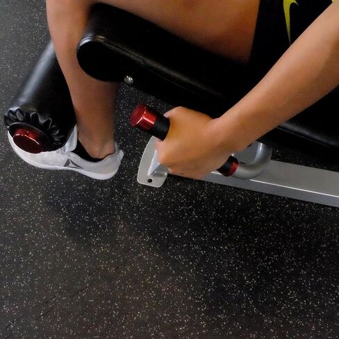 Body-Solid (S2lecx) Pro Clubline Series II Leg Extension & Leg Curl Machine for Home and Commercial Gym in Saudi Arabia