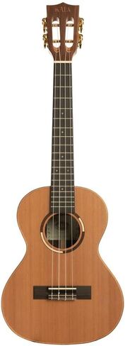 Kala KA-BE Mahogany Baritone Acoustic-Electric Ukulele with Hard Case, Strap, Tuner, Austin Bazaar Instructional DVD, and Polishing Cloth in Kuwait