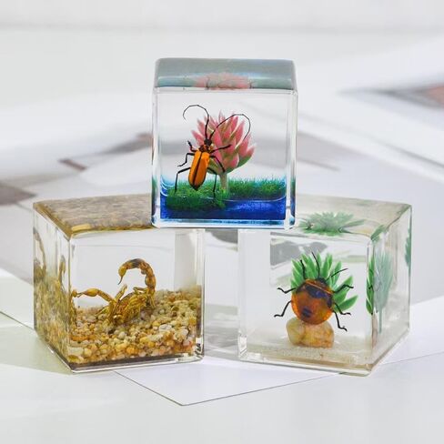 Real Insect in Resin Specimen,Interesting Dung Beetle Pushes Dung Ball Micro-Landscape,Insect Taxidermy Crafts Collection Paperweight(Dung Beetle) in Saudi Arabia