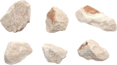 EISCO (Pack of 6) Raw Gypsum, Mineral Specimens - Approx. 1" - Geologist Selected & Hand Processed - Great for Science Classrooms - Class Pack in Saudi Arabia