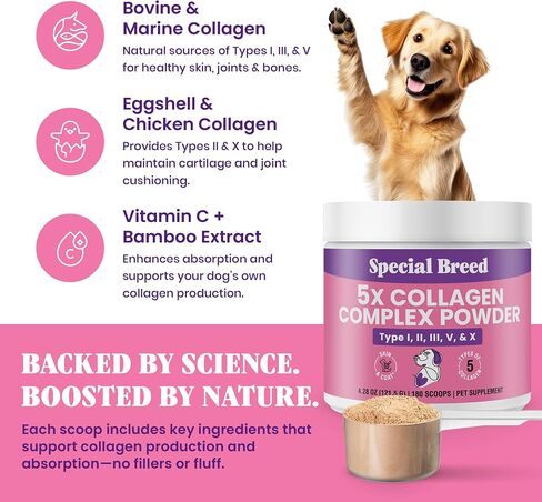 Premium Collagen for Dogs - Liquid Support for Joints, Skin, Coat, Bone, Immune System & HIPS - Collagen Supplement - Made in USA - 2oz in Kuwait