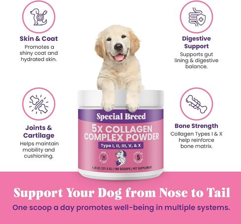 Premium Collagen for Dogs - Liquid Support for Joints, Skin, Coat, Bone, Immune System & HIPS - Collagen Supplement - Made in USA - 2oz in Kuwait