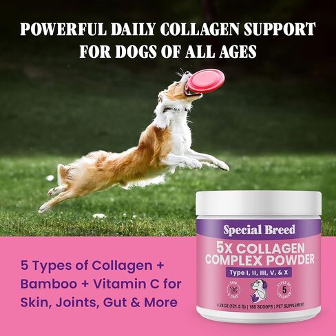 Premium Collagen for Dogs - Liquid Support for Joints, Skin, Coat, Bone, Immune System & HIPS - Collagen Supplement - Made in USA - 2oz in Kuwait