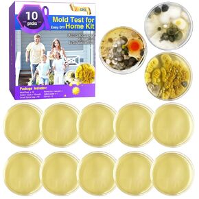Mold Test for Home Kit,Home Mold Test,DIY Detector at Furniture,Wall Facing,Indoor Air Quality Testing Kits,Simple Detection Tests,air Tester,Black26 Mold Testing,Home Mold Testing,Include Guide in Saudi Arabia