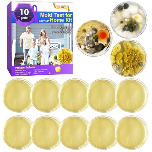 Mold Test for Home Kit,Home Mold Test,DIY Detector at Furniture,Wall Facing,Indoor Air Quality Testing Kits,Simple Detection Tests,air Tester,Black26 Mold Testing,Home Mold Testing,Include Guide in Saudi Arabia