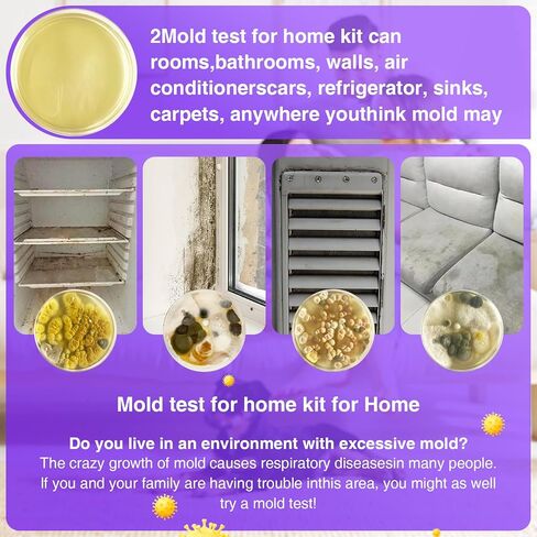 Mold Test for Home Kit,Home Mold Test,DIY Detector at Furniture,Wall Facing,Indoor Air Quality Testing Kits,Simple Detection Tests,air Tester,Black26 Mold Testing,Home Mold Testing,Include Guide in Saudi Arabia