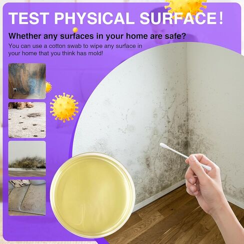 Mold Test for Home Kit,Home Mold Test,DIY Detector at Furniture,Wall Facing,Indoor Air Quality Testing Kits,Simple Detection Tests,air Tester,Black26 Mold Testing,Home Mold Testing,Include Guide in Saudi Arabia