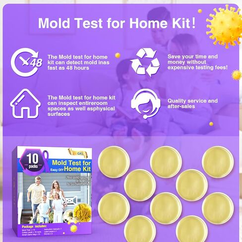 Mold Test for Home Kit,Home Mold Test,DIY Detector at Furniture,Wall Facing,Indoor Air Quality Testing Kits,Simple Detection Tests,air Tester,Black26 Mold Testing,Home Mold Testing,Include Guide in Saudi Arabia