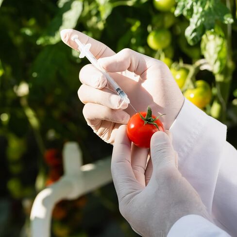 30pack 1ml محقنة مع 30G 5/16 "إبرة 8 مم ، مستلزمات مختبر ملفوفة بشكل فردي (1cc 30g 5/16" -30Pack) in Kuwait