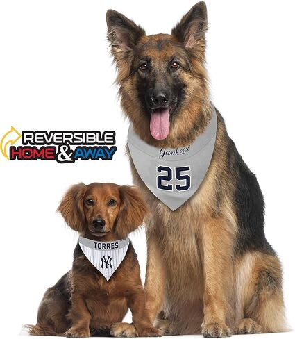 MLBPA عكس الكلب Cat Bandana - Gleyber Torres #25 Pet Bandana - MLB New York Yankees Home & Away Bandanna ، صغير/متوسط in Saudi Arabia