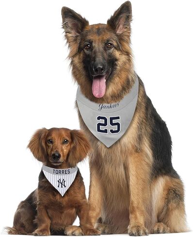 MLBPA عكس الكلب Cat Bandana - Gleyber Torres #25 Pet Bandana - MLB New York Yankees Home & Away Bandanna ، صغير/متوسط in Saudi Arabia