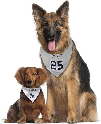 MLBPA عكس الكلب Cat Bandana - Gleyber Torres #25 Pet Bandana - MLB New York Yankees Home & Away Bandanna ، صغير/متوسط in Saudi Arabia
