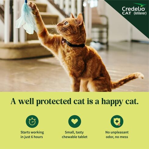 Credelio Cat Tick & Flea Prevention وعلاج Cats 4.1-17 رطل. | إمداد 1 شهر in Saudi Arabia