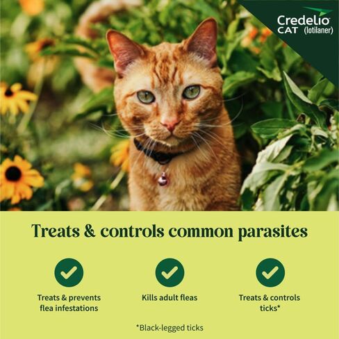 Credelio Cat Tick & Flea Prevention وعلاج Cats 4.1-17 رطل. | إمداد 1 شهر in Saudi Arabia