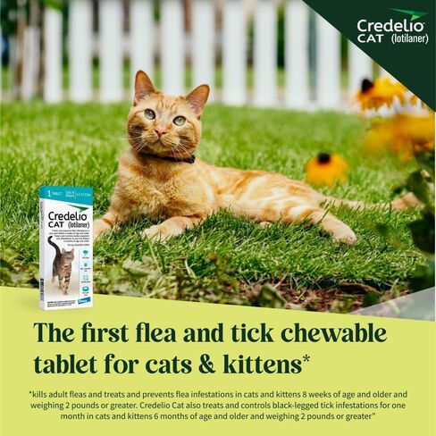 Credelio Cat Tick & Flea Prevention وعلاج Cats 4.1-17 رطل. | إمداد 1 شهر in Saudi Arabia