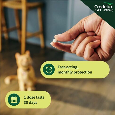 Credelio Cat Tick & Flea Prevention وعلاج Cats 4.1-17 رطل. | إمداد 1 شهر in Saudi Arabia