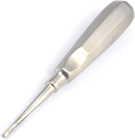 G.S Root Elevator 2Mm Straight Dental Instruments Best Quality in Saudi Arabia