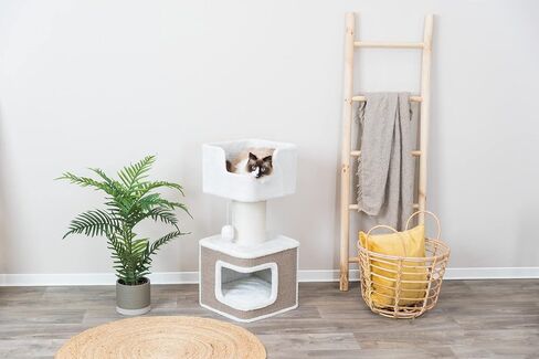 Trixie Ava Cat Tree مع الشقة ، منصة أعلى مريحة مع وسادة قابلة للإزالة ، لعبة Cat Cating (بنية) in Saudi Arabia