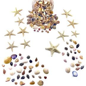 1500 PCS sea Shells Small Natural Starfish Mixed Beach Snail Seashells are Suitable for Beach Theme Parties,Home Decoration, Various DIY Crafts,Candle Making,Shells,Fish Tank and vase fillers