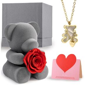 Flocking Bear Figurines with Preserved Rose,Forever Flower with 18K Real Gold Plated Pendant for Women,Eternal Red Rose Gift Box for Her on Anniversary Valentines Day Mothers Day Christmas Birthday