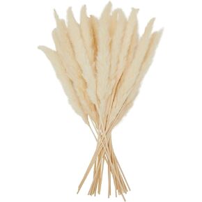 Juvale 30 Pack Dried White Pampas Grass for Vase, Wedding, Rustic-Style Farmhouse Decor, Boho-Themed Home Decor (17 in)