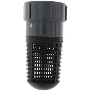 2" FPT PVC Foot Valve