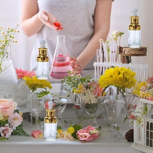 Luxury Clear Glass Dropper Bottles - Thick 1oz (30ml) Leakproof Eye Dropper Bottles for Essential Oils, Perfumes, Face Serums, Beauty & Personal Care, Tinctures, Travel (4-Set Silver) in Kuwait