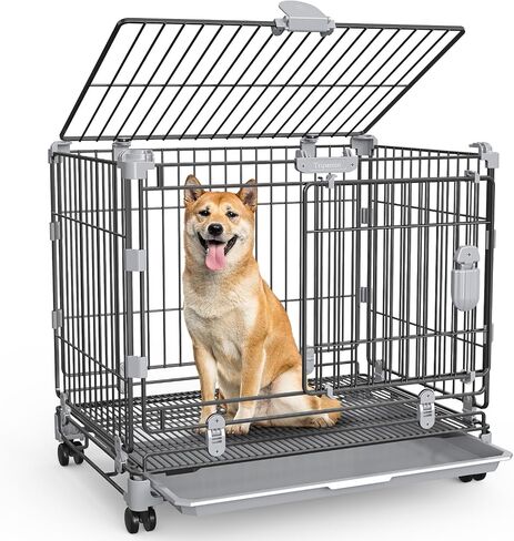 Medium Dog Crate with Wheels, 30 Inch Dog Crates for small dogs Double Door, Carbon Steel Medium Wire Dog Kennel with Divider and Leak-Proof Tray, Metal Dog Cage Medium Sized Dog Up to 40 Lbs in Saudi Arabia