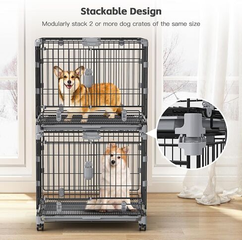 Medium Dog Crate with Wheels, 30 Inch Dog Crates for small dogs Double Door, Carbon Steel Medium Wire Dog Kennel with Divider and Leak-Proof Tray, Metal Dog Cage Medium Sized Dog Up to 40 Lbs in Saudi Arabia
