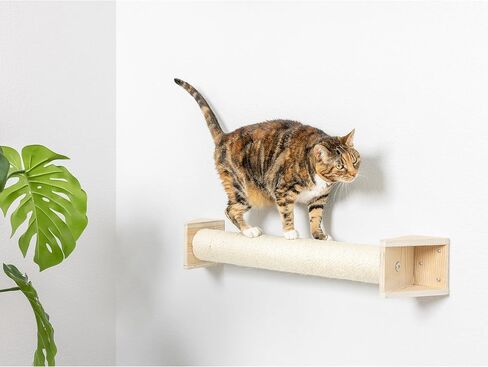 Armarkat Cat Wall Climber Series: Scratching Post W1907D, Natural Beige Medium (Pack of 3) in Saudi Arabia