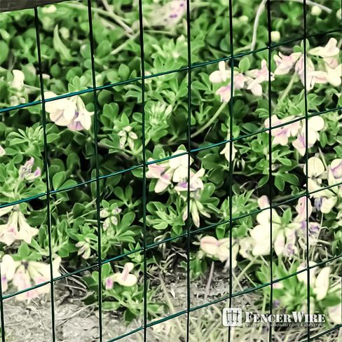 سلك المبارزة 16 مقياس الأخضر فينيل سلك ملحوم شبكة بحجم 2 بوصة × 3 بوصة in Kuwait